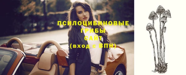 ГАЛЛЮЦИНОГЕННЫЕ ГРИБЫ Бронницы