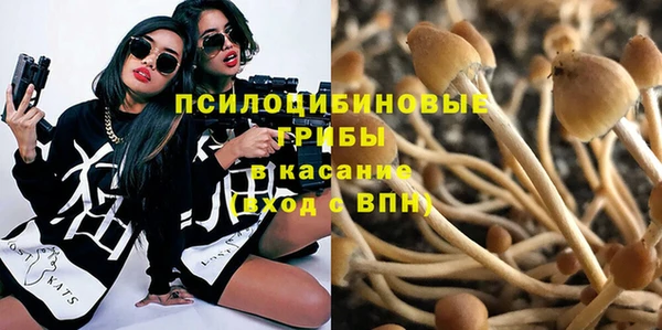 эйфоретик Верея
