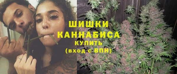 тгк Семилуки