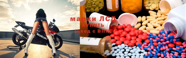 ГАЛЛЮЦИНОГЕННЫЕ ГРИБЫ Верхний Тагил