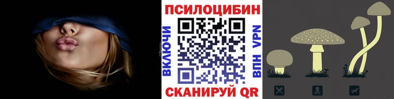 Купить  Вышний Волочёк  Псилоцибиновые грибы Psilocybine cubensis 